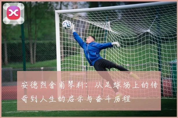 安德烈舍甫琴科：从足球场上的传奇到人生的启示与奋斗历程