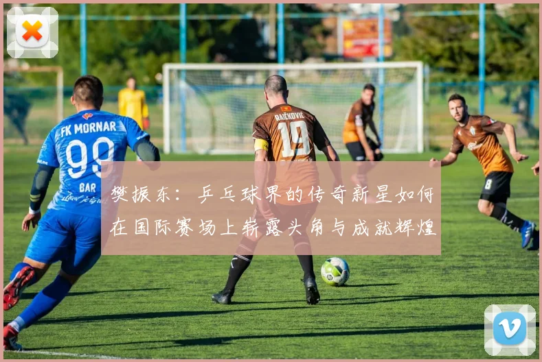 樊振东：乒乓球界的传奇新星如何在国际赛场上崭露头角与成就辉煌