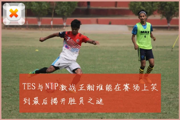 TES与NIP激战正酣谁能在赛场上笑到最后揭开胜负之谜