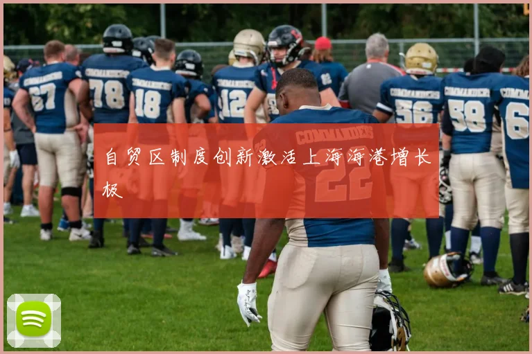 自贸区制度创新激活上海海港增长极