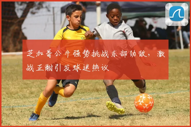 芝加哥公牛强势挑战东部劲敌，激战正酣引发球迷热议