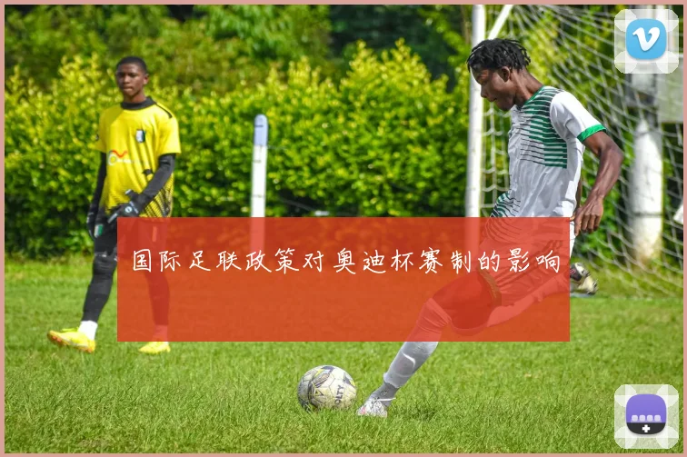 国际足联政策对奥迪杯赛制的影响